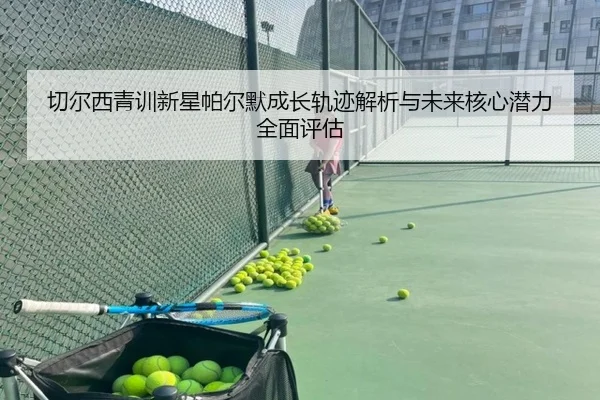 切尔西青训新星帕尔默成长轨迹解析与未来核心潜力全面评估