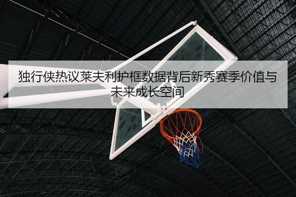 独行侠热议莱夫利护框数据背后新秀赛季价值与未来成长空间
