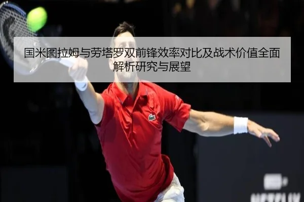 国米图拉姆与劳塔罗双前锋效率对比及战术价值全面解析研究与展望