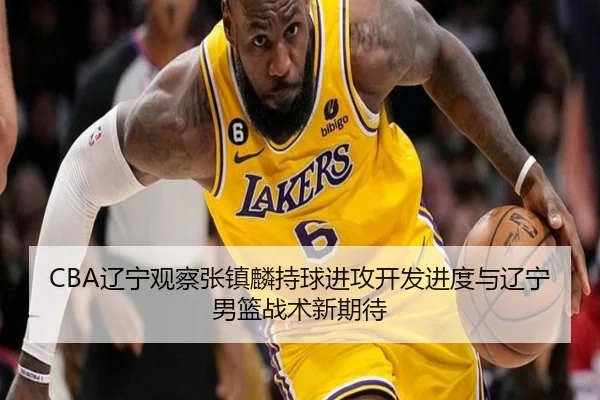 CBA辽宁观察张镇麟持球进攻开发进度与辽宁男篮战术新期待